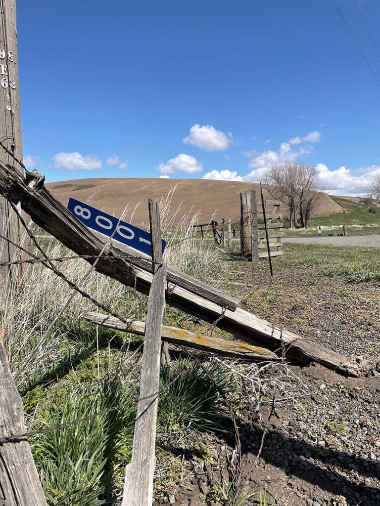 Fallen fence posts