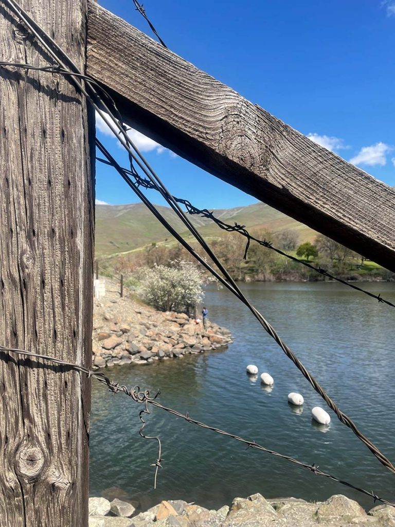 A fence post frames a man fishing