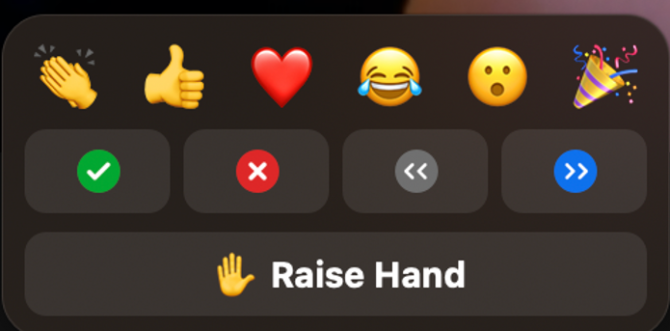 Screenshot of reaction buttons from Zoom videoconferencing software